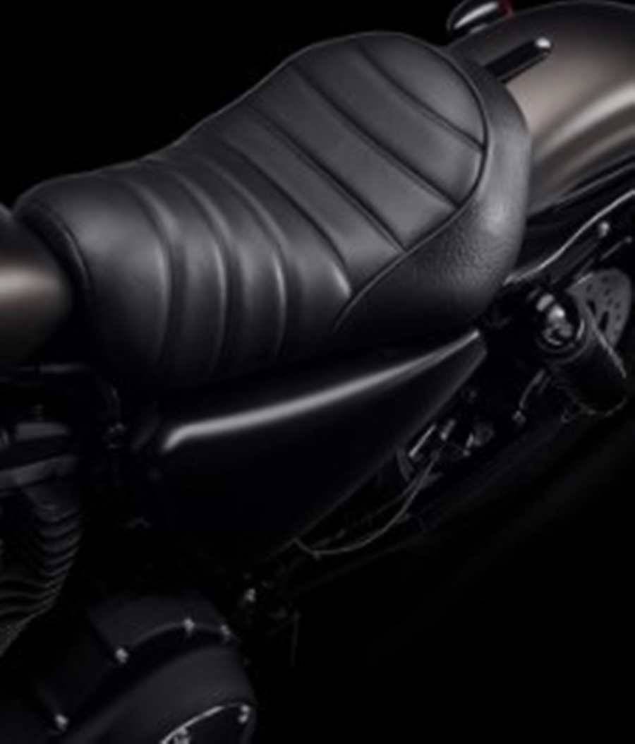 Harley-Davidson Cruiser Iron 883 ฮาร์ลีย์-เดวิดสัน สปอร์ตสเตอร์ ปี 2022 : ภาพที่ 5