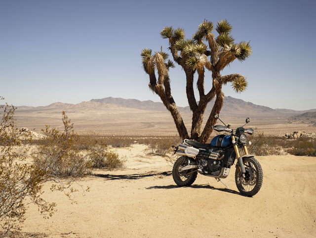 Triumph Scrambler 1200XE MY2023 ไทรอัมพ์ สกรีมเบลอร์ ปี 2023 : ภาพที่ 31