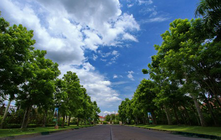 รูปภาพ วรารมย์ เจริญเมือง (Vararom Charoenmuang)