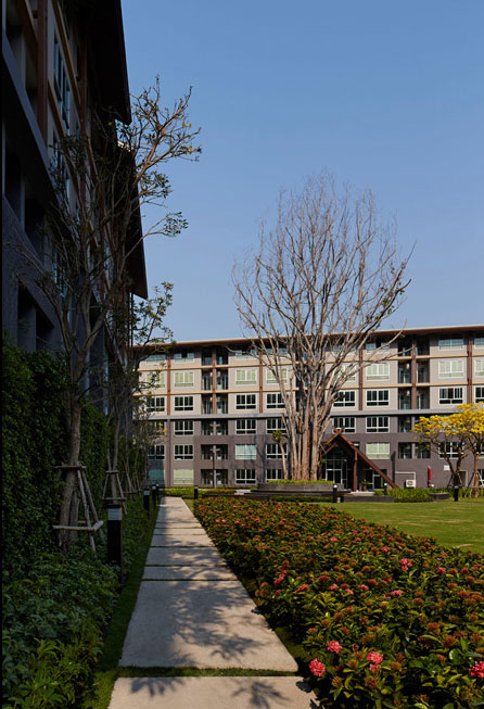 ดีคอนโด แคมปัส รีสอร์ท เชียงใหม่ (dcondo Campus Resort Chiangmai) : ภาพที่ 2