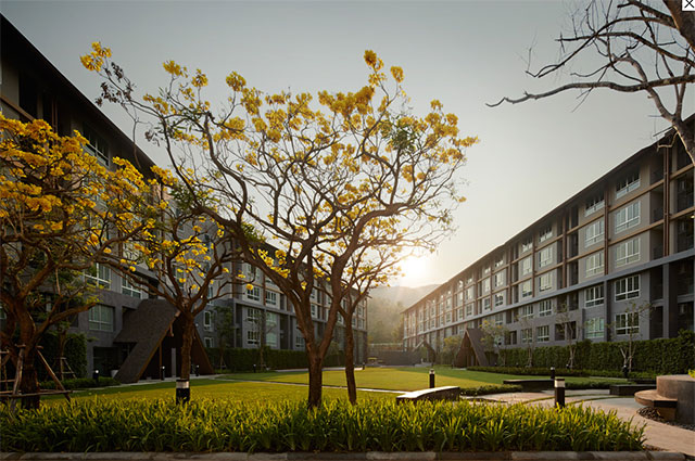 ดีคอนโด แคมปัส รีสอร์ท เชียงใหม่ (dcondo Campus Resort Chiangmai) : ภาพที่ 4