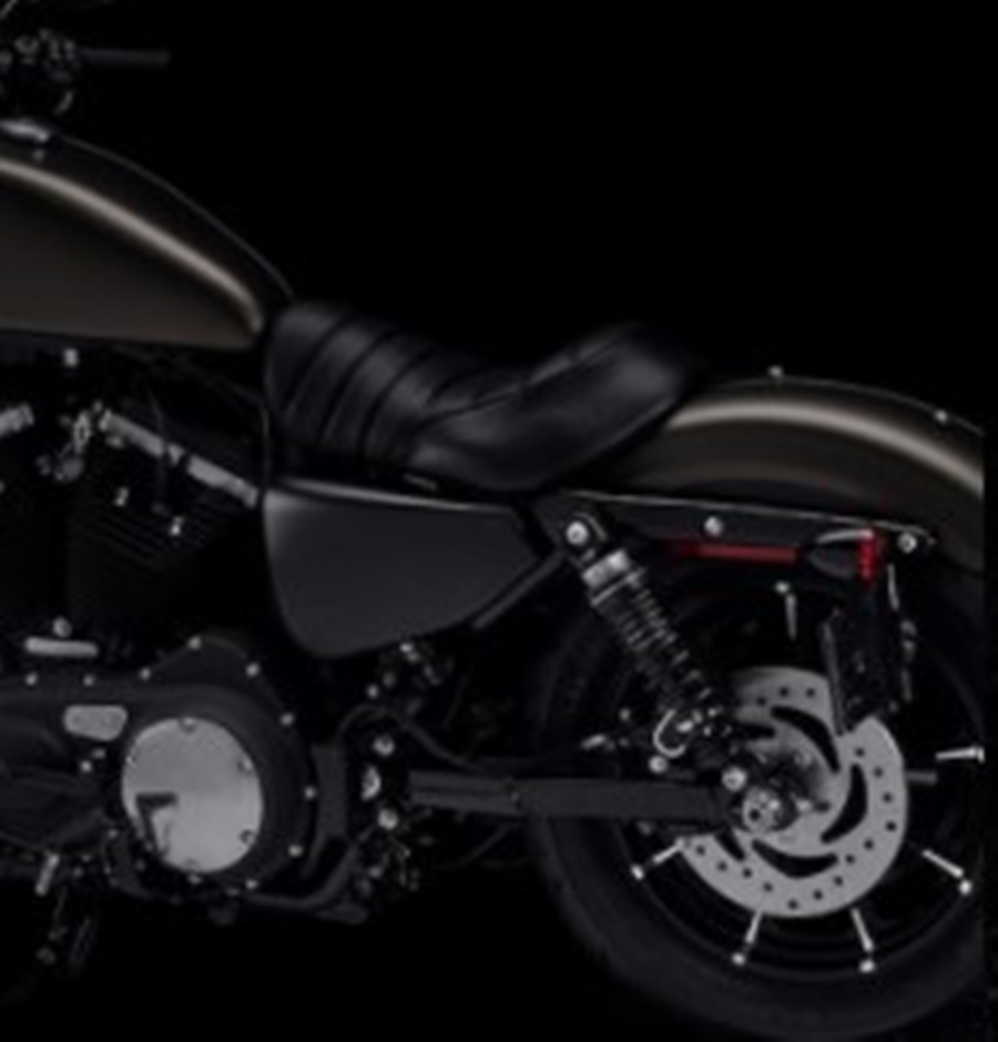 Harley-Davidson Cruiser Iron 883 ฮาร์ลีย์-เดวิดสัน สปอร์ตสเตอร์ ปี 2022 : ภาพที่ 4