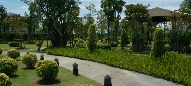 รูปภาพ ณุศาศิริ ซิตี้ พระราม 2 (Nusasiri City Rama 2)