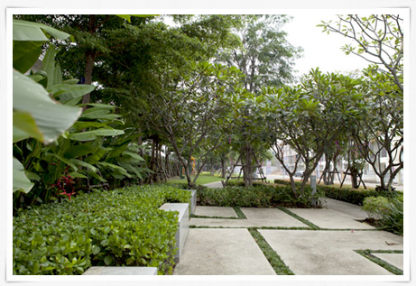 รูปภาพ ซิกเนเจอร์ กัลปพฤกษ์ (Sixnature Kallapaphruek)