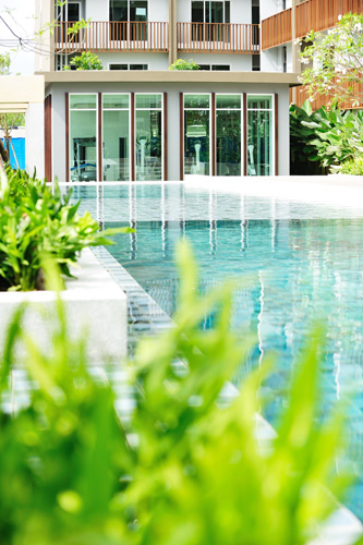 รูปภาพ เดอะ ซี้ด แจ้งวัฒนะ (The Seed Chaeng Watthana)