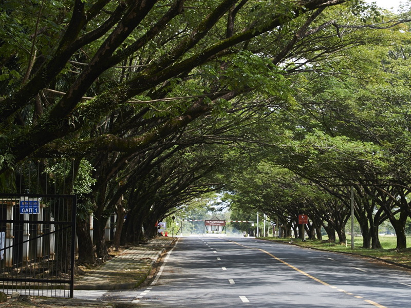 บุราสิริ เกาะแก้ว ภูเก็ต (Burasiri Kohkaew Phuket) : ภาพที่ 10