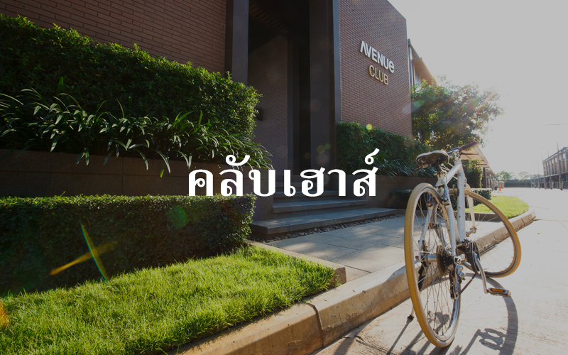 ทาวน์ อเวนิว สองแคว-พิษณุโลก (Town Avenue Songkwae-Phitsanuloke) : ภาพที่ 8