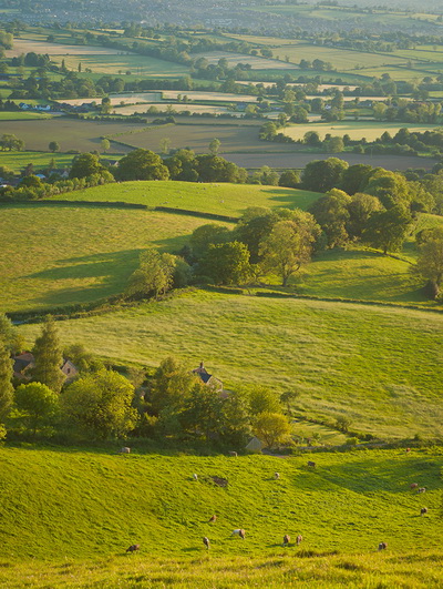 เดอะ คอทส์โวลด์ เขาค้อ (The Cotswold Khao Kho) : ภาพที่ 4