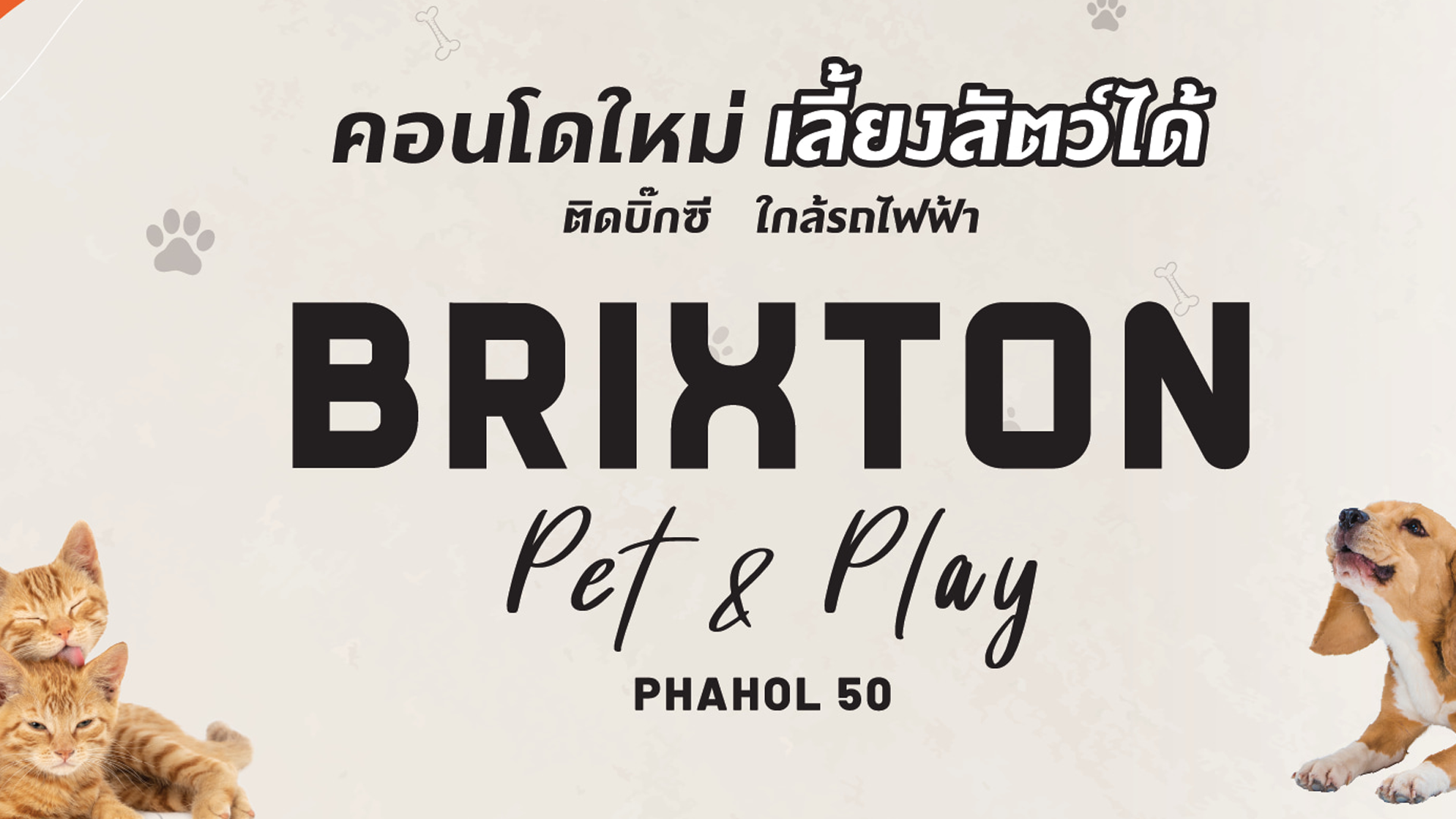 บริกซ์ตัน เพ็ทแอนด์เพลย์ พหลฯ 50 สเตชั่น (Brixton Pet & Play Phahol 50 Station) : ภาพที่ 1