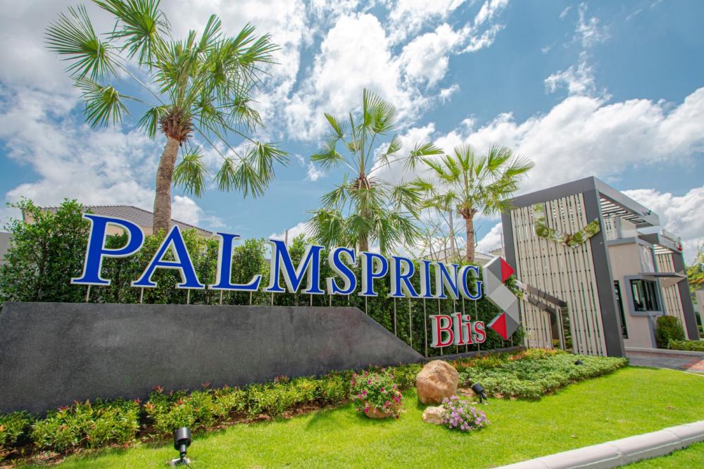 ปาล์มสปริงส์ บลิส (Palmspring Blis) : ภาพที่ 1
