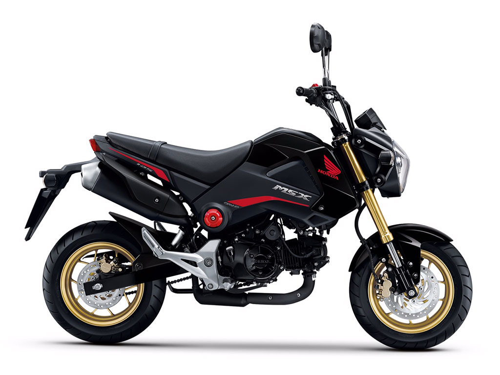 Honda MSX125 MSX125F TH ฮอนด้า เอ็มเอสเอ็กซ์125 ปี 2015 : ภาพที่ 1