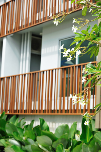 รูปภาพ เดอะ ซี้ด แจ้งวัฒนะ (The Seed Chaeng Watthana)