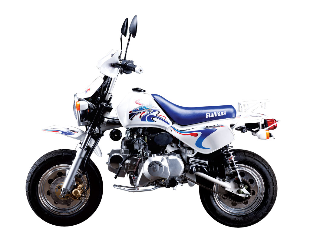 สตาเลียน Stallions Mini JR 11 Auto Clutch ปี 2013 ราคา 42,500 บาท ...