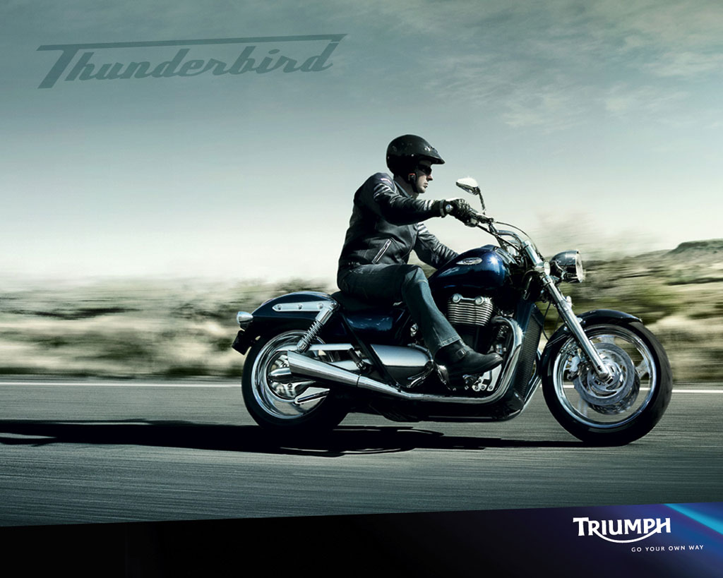 รูปภาพ Triumph  standard ปี 2011