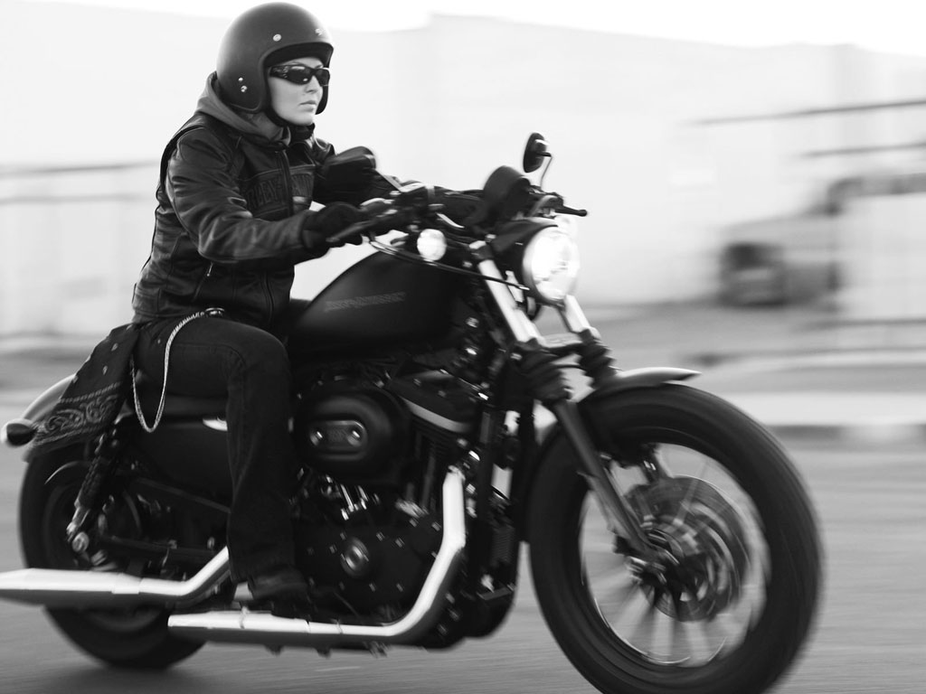 Harley-Davidson Cruiser Iron 883 MY20 ฮาร์ลีย์-เดวิดสัน สปอร์ตสเตอร์ ปี 2016 : ภาพที่ 6