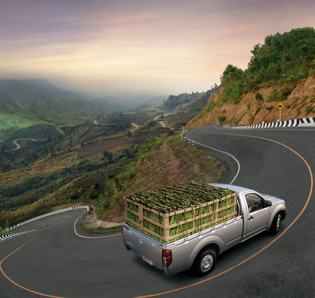 รูปภาพ นิสสัน Nissan Navara Single Cab 2.5 S 6MT ปี 2008