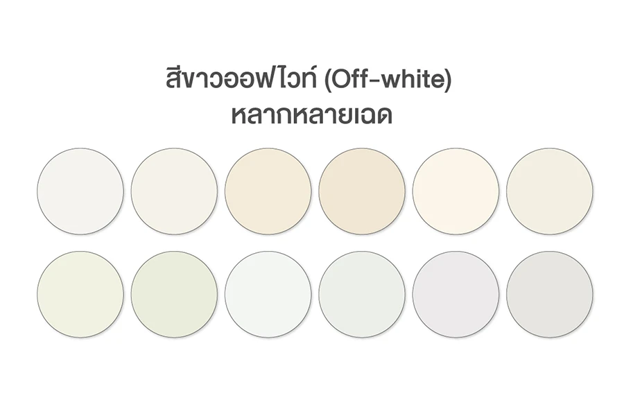 ทาสีบ้านขาวโทนไหนดี? | เช็คราคา.คอม