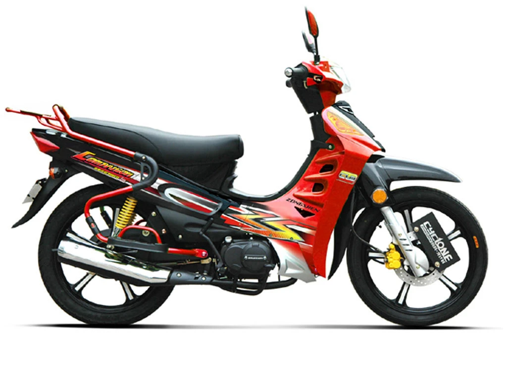 รูปภาพ จงเซิน ริวก้า Zongshen Ryuka Ahead ZS (Standard) ปี 2011