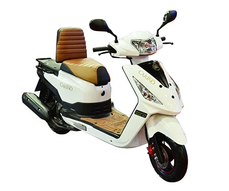 รูปภาพ สตาเลียน Stallions Carino (Standard) ปี 2015