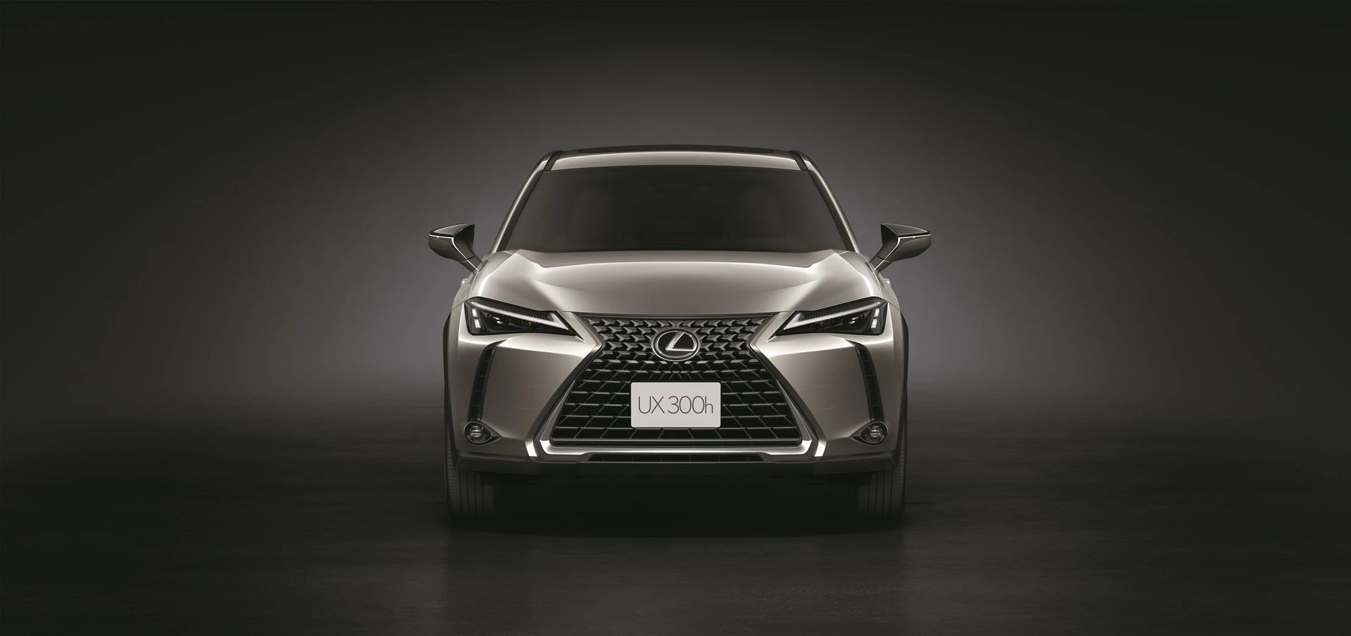 Lexus UX ทุกรุ่นย่อย