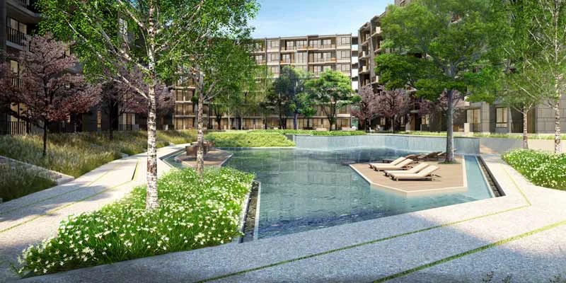 รูปภาพ เดอะ วัลลีย์ (The Valley)