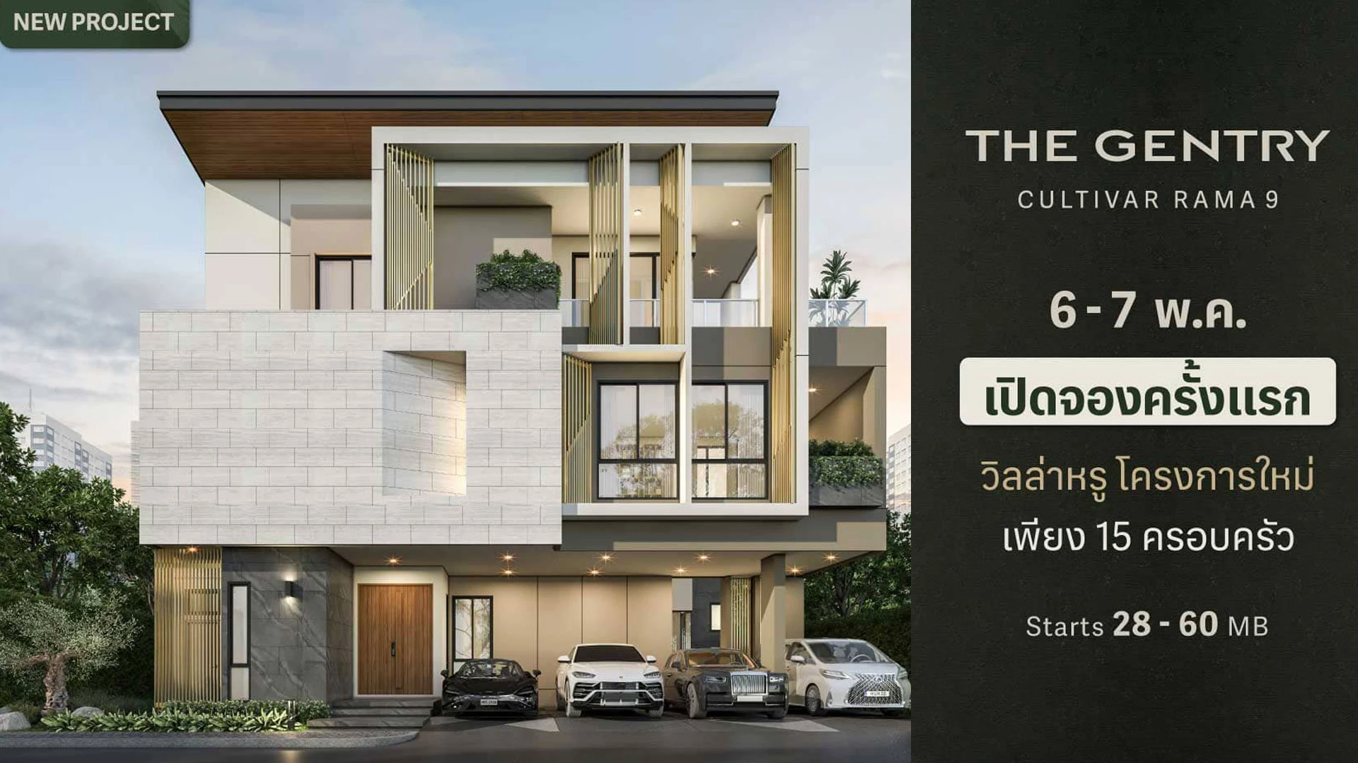 รูปภาพ เดอะ เจนทริ คัลทิวาร์ พระราม 9 (THE GENTRY CULTIVAR RAMA 9)