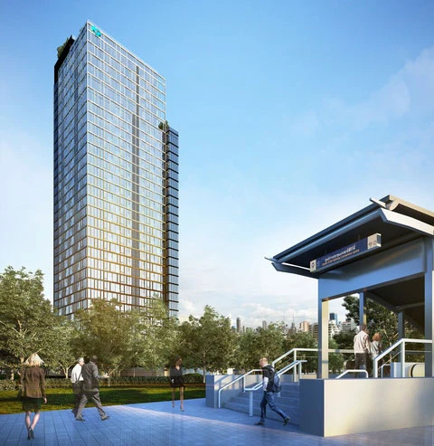 รูปภาพ ไซมิส เอ๊กซ์คลูซีพ ควีนส์ (Siamese Exclusive Queens)