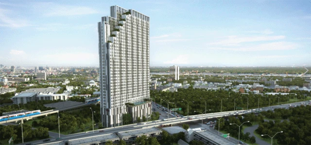 รูปภาพ ไวโอ้ ติวานนท์ (Vio Tiwanon)